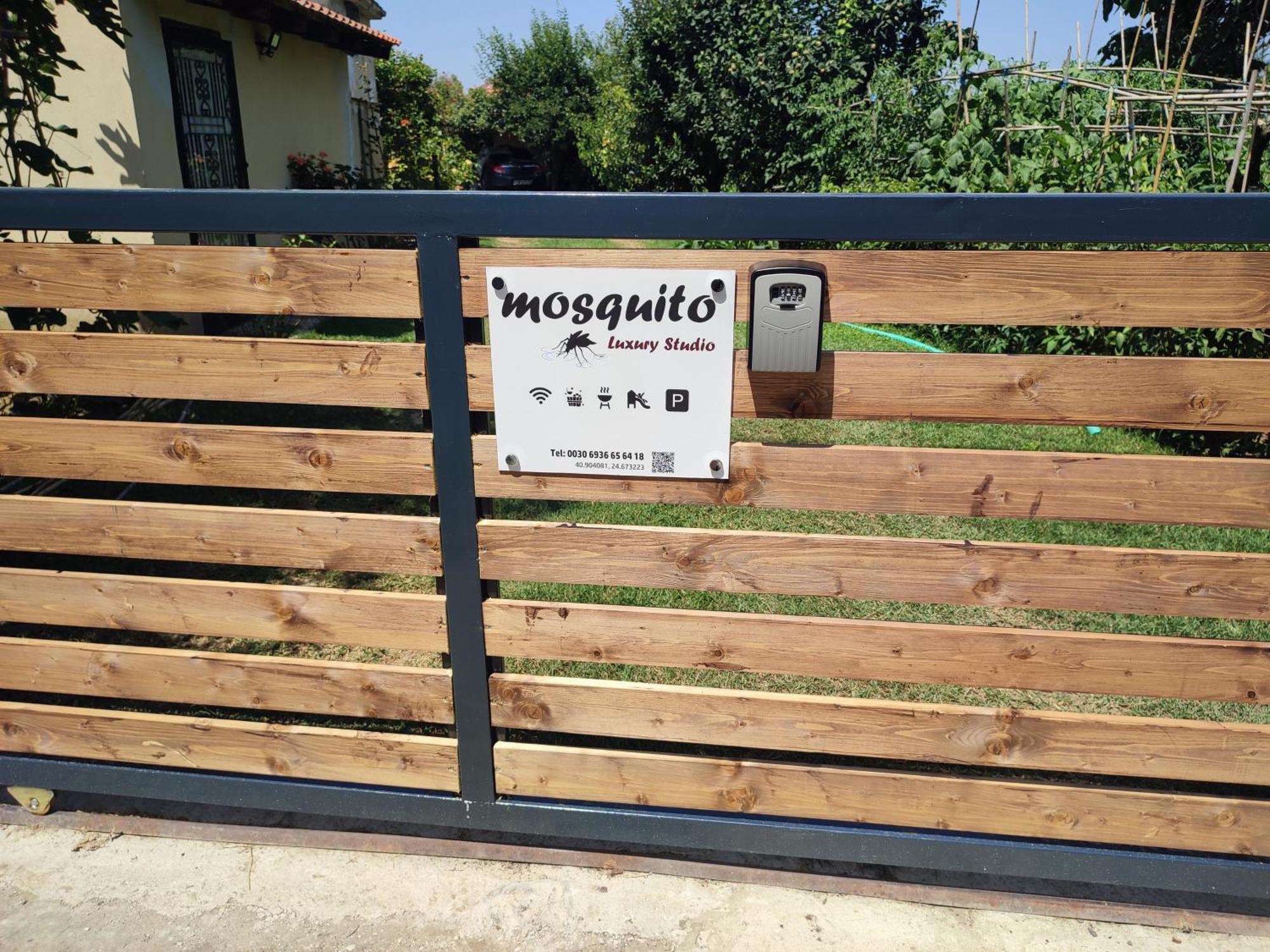 Mosquito Luxury Studio Keramoti  Luaran gambar